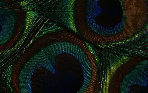 474649 (a): :1920x1200